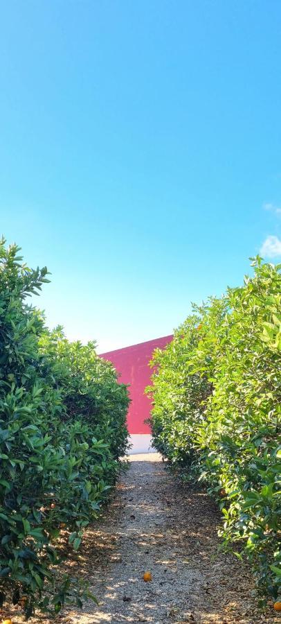 Quinta Dos I'S - Algarve Villa Ferrarias  Bagian luar foto