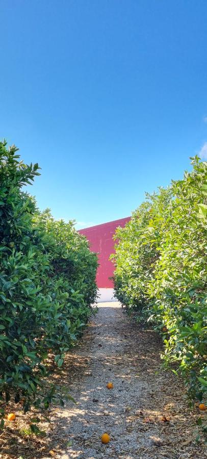 Quinta Dos I'S - Algarve Villa Ferrarias  Bagian luar foto