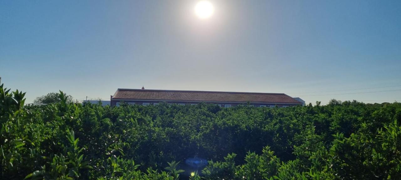 Quinta Dos I'S - Algarve Villa Ferrarias  Bagian luar foto